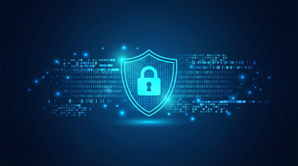 至王加速器隐私安全保护